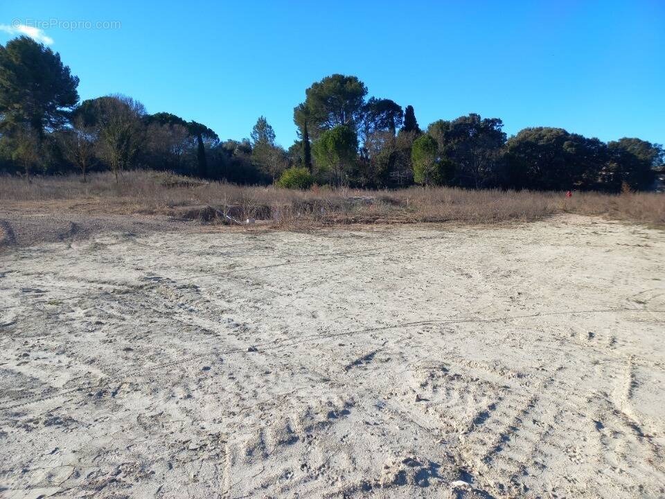 Terrain à MONTAGNAC
