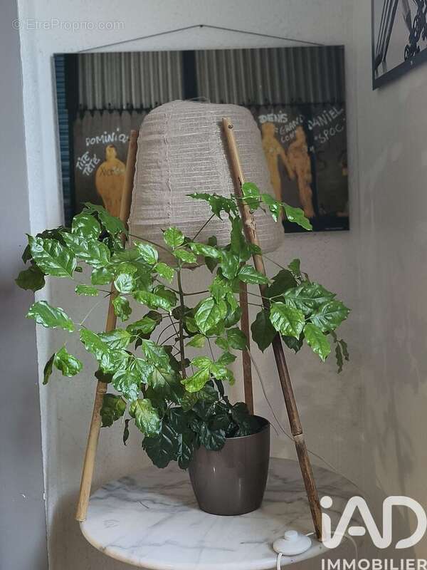 Photo 8 - Appartement à LE HAVRE