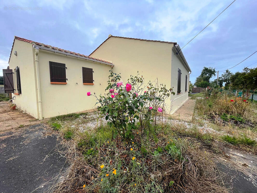 Maison à LE FENOUILLER