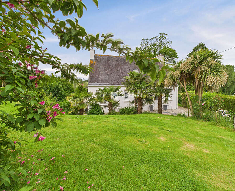 Maison à PLONEOUR-LANVERN