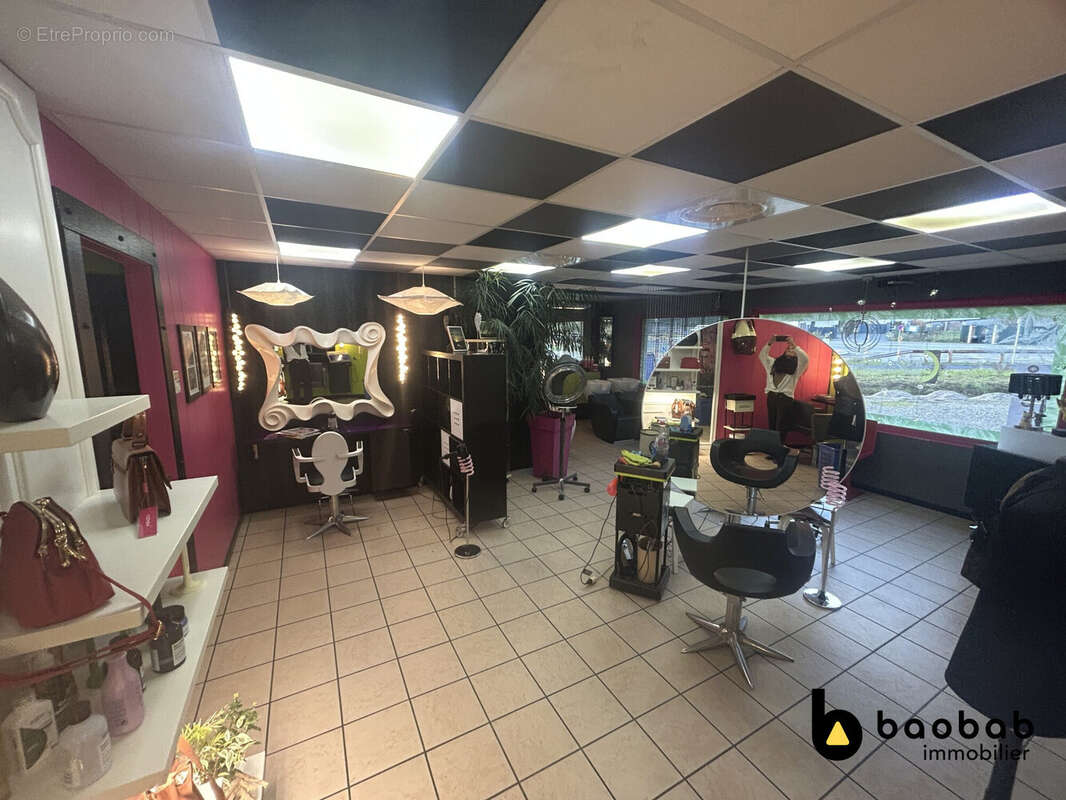 Autre à SAINT-ALBAN-DE-MONTBEL