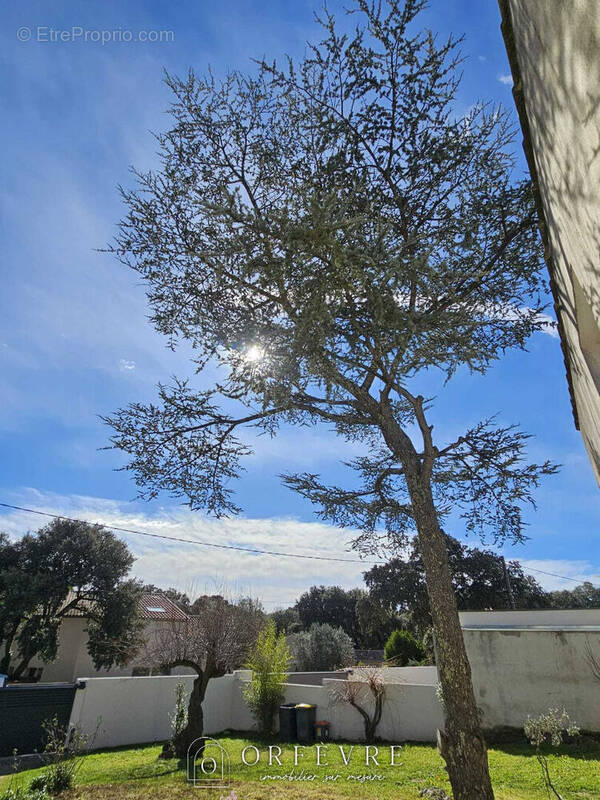 Terrain à CASTELNAU-LE-LEZ