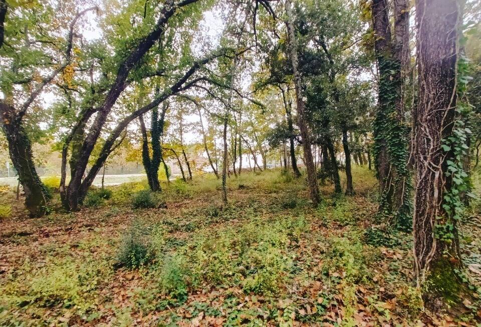 Terrain à TRANS-EN-PROVENCE