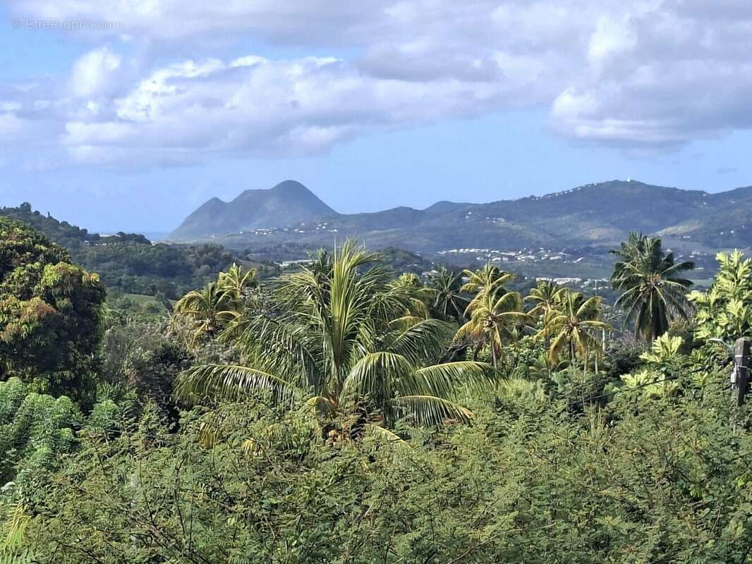 Terrain à RIVIERE-SALEE