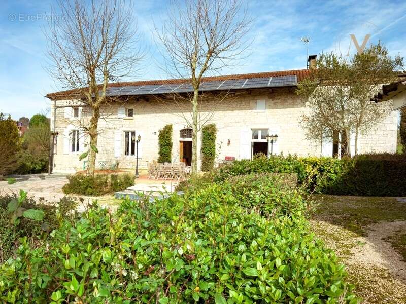 Domaine équestre d’exception sur 40 hectares — Authenticité, nature et passion proche de Penne d’Agenais (47) - photo 6