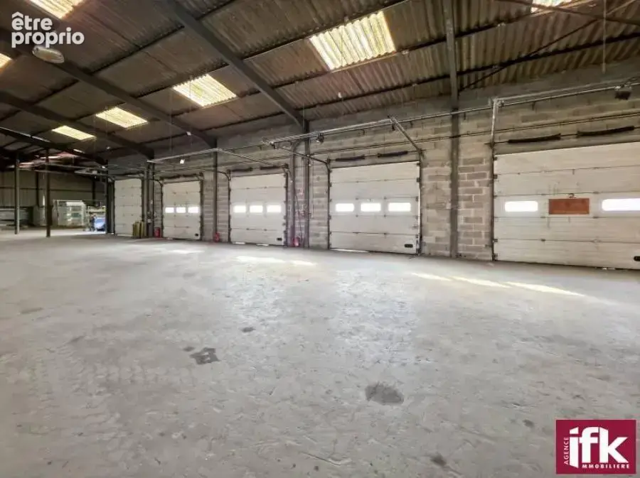 Colmar Zone industrielle Nord : Local 1200m2 - Terrain 46 ares - photo 2