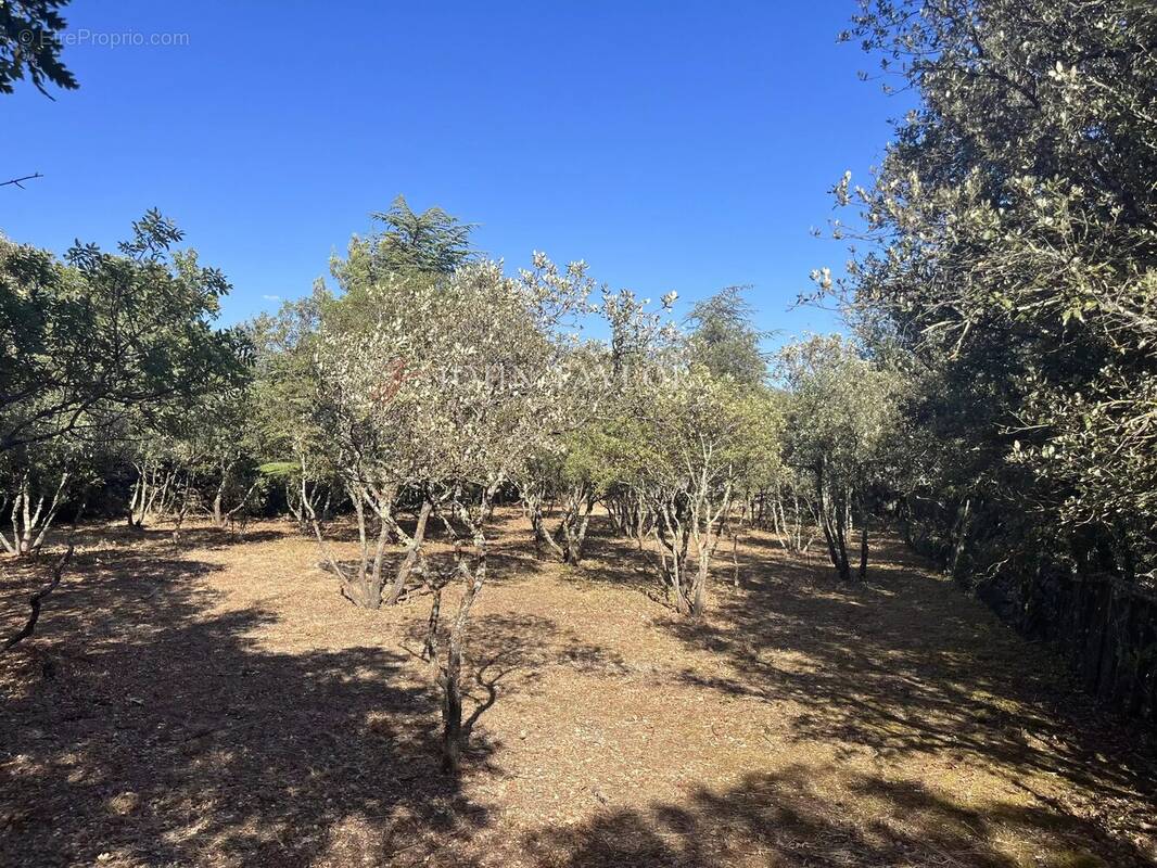 Terrain à CABRIERES-D'AVIGNON