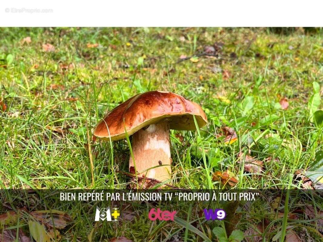 Photo 7 - Maison à CLERGOUX