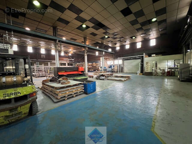 LOCAUX PRO de 5000m2 sur parcelle de 9000m2 - photo 13