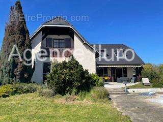 IMG_6799 - Maison à OLORON-SAINTE-MARIE