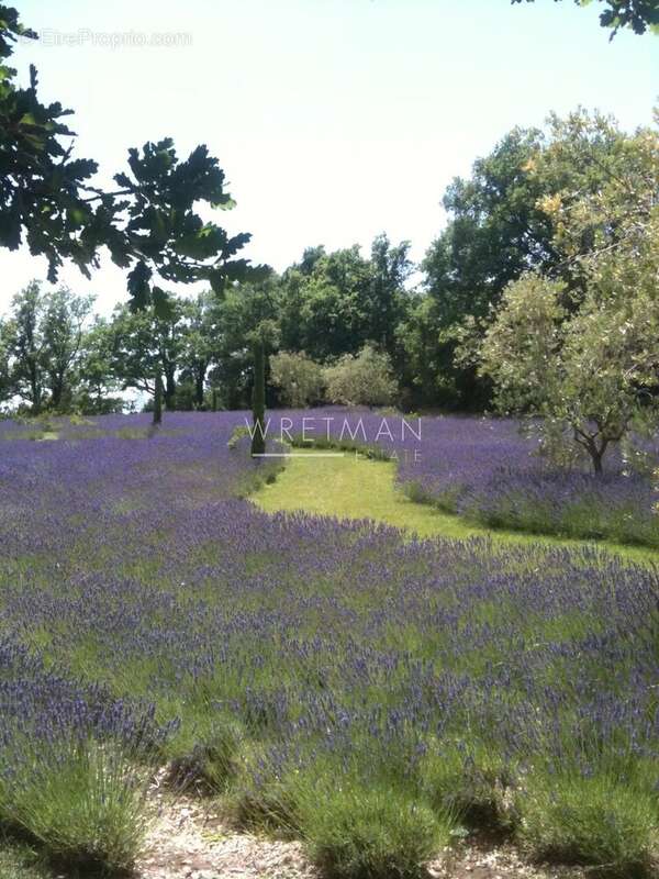 Magnifique propriété - Saint Vallier de Thiey - photo 32