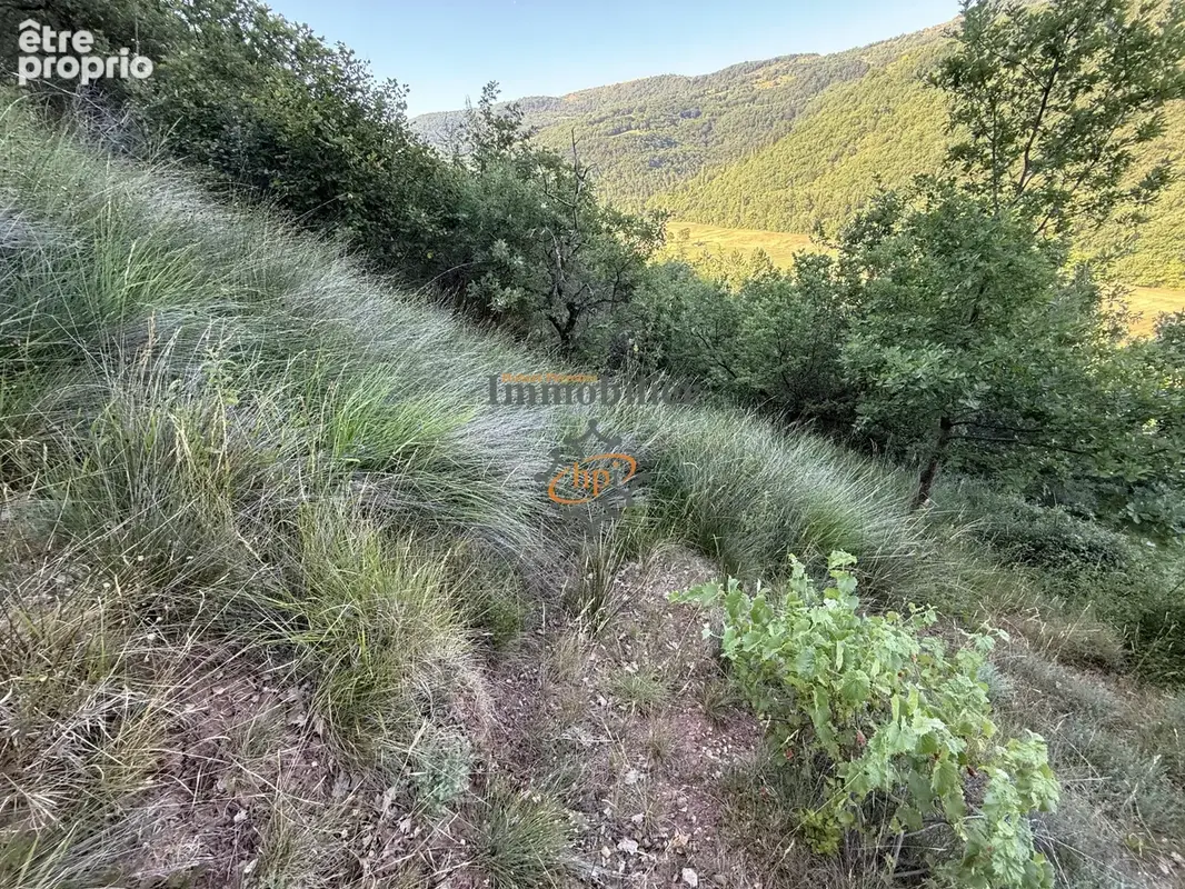 Vente remise avec  2,45 hectares de terrains Versols-et-Lapeyre - photo 15