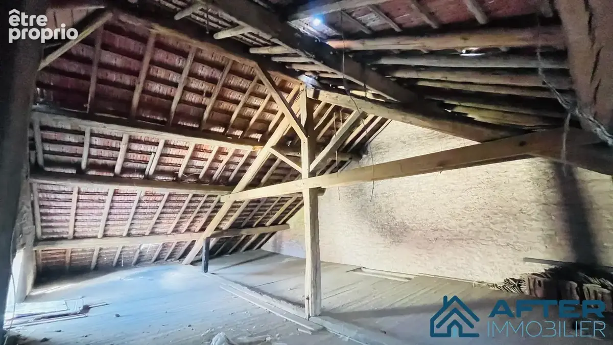 Maison 300 m² à Vacqueville  - photo 9