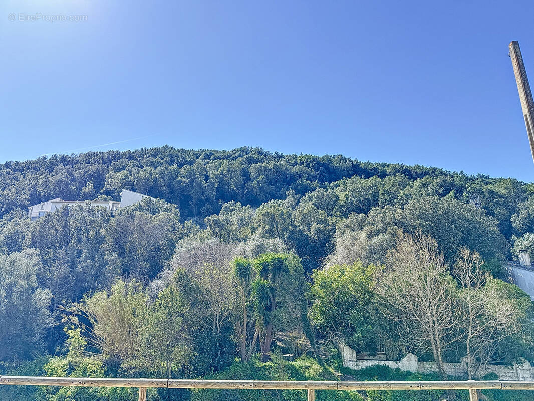 Terrain à SAN-MARTINO-DI-LOTA