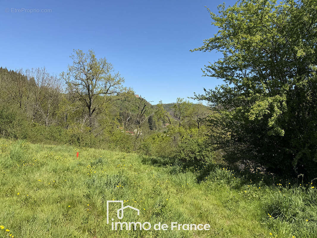 Vallée du Lot- Beau terrain à bâtir- EXCLUSIVITE - photo 4