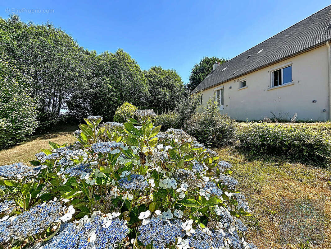 Maison à MELGVEN