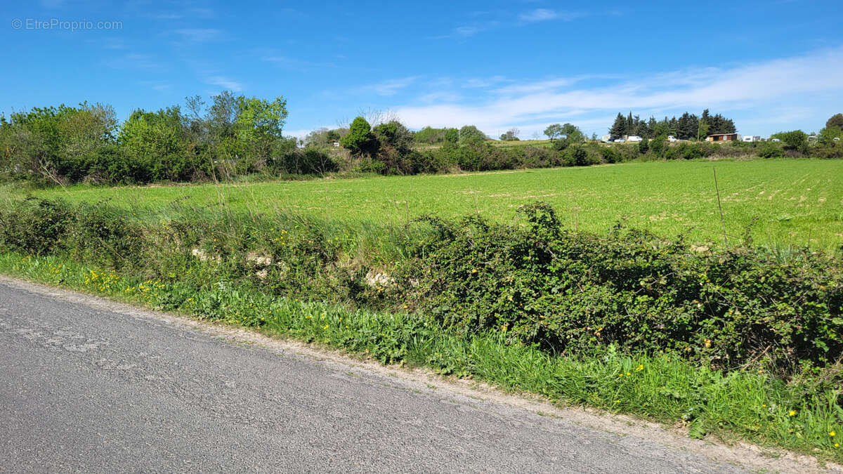 Terrain à PIGNAN