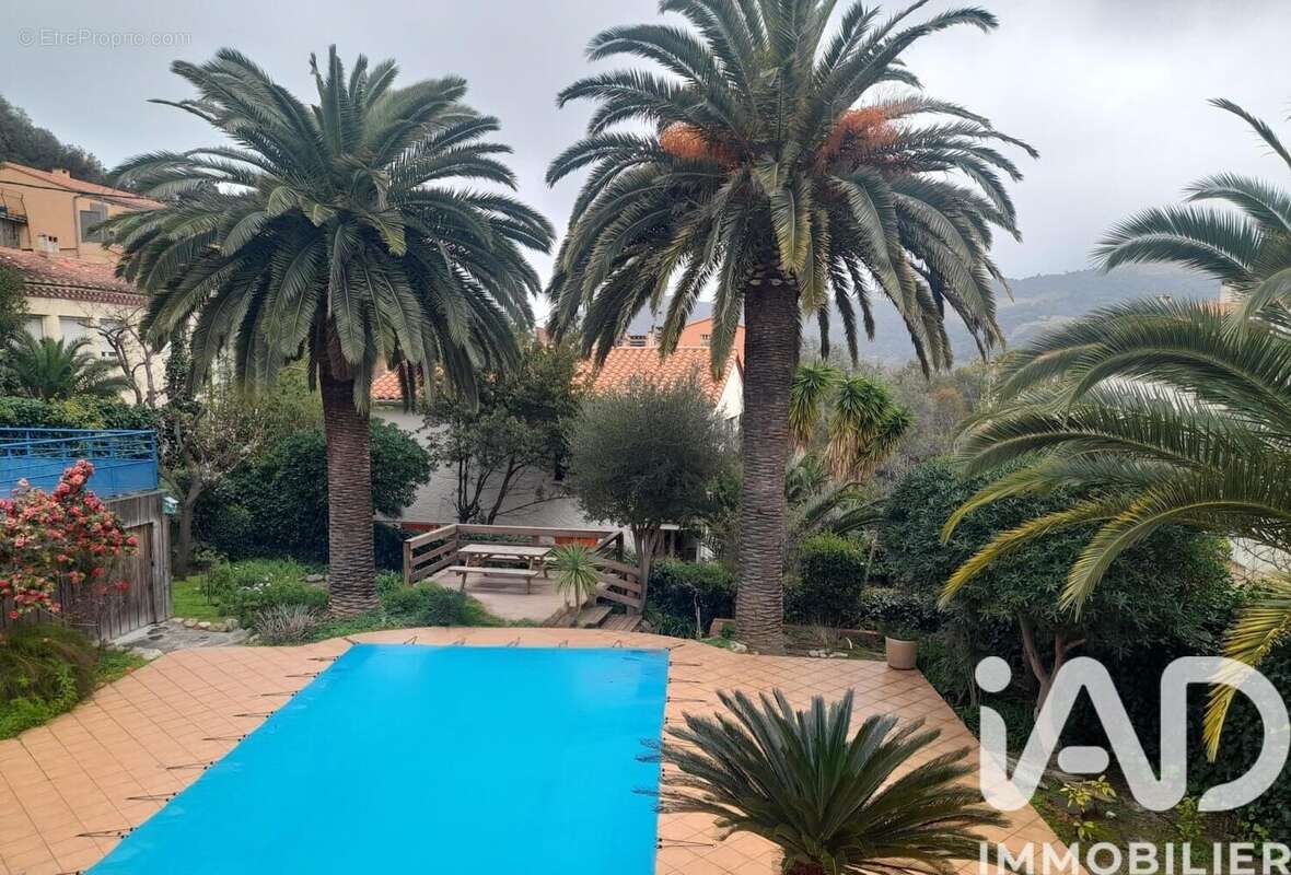 Photo 7 - Appartement à COLLIOURE