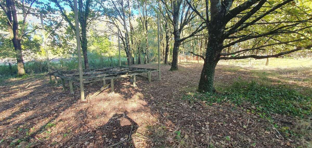 Terrain à SAINT-ANDRE-DE-CUBZAC