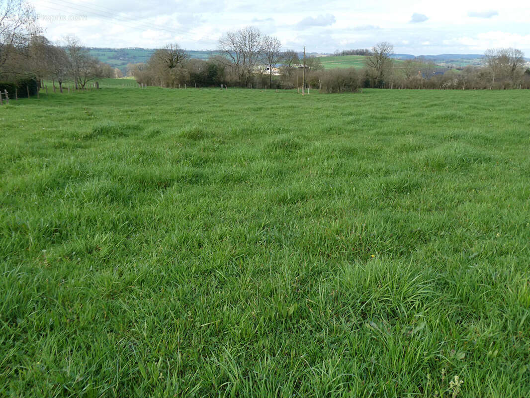 Maison à SAINT-PIERRE-SUR-ORTHE