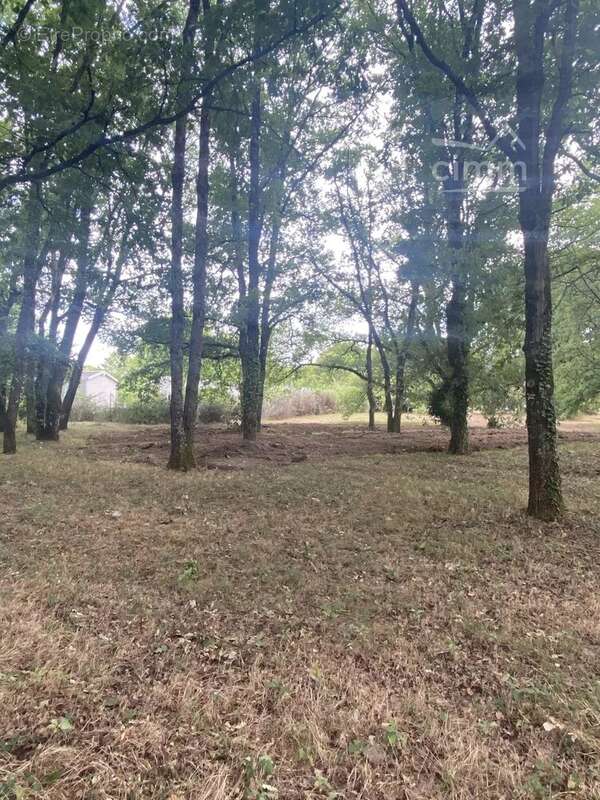 Terrain constructible viabilise - 1003 m² - ballan mire - photo 2