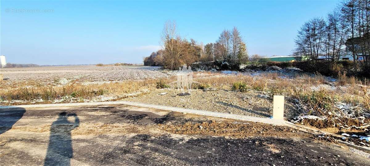 Terrain 379 m² à Nordhouse  - photo 103