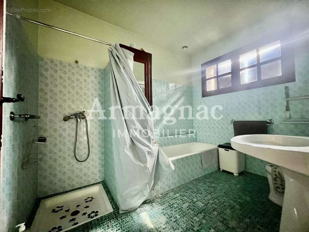 Maison avec appartement Eauze centre - photo 15