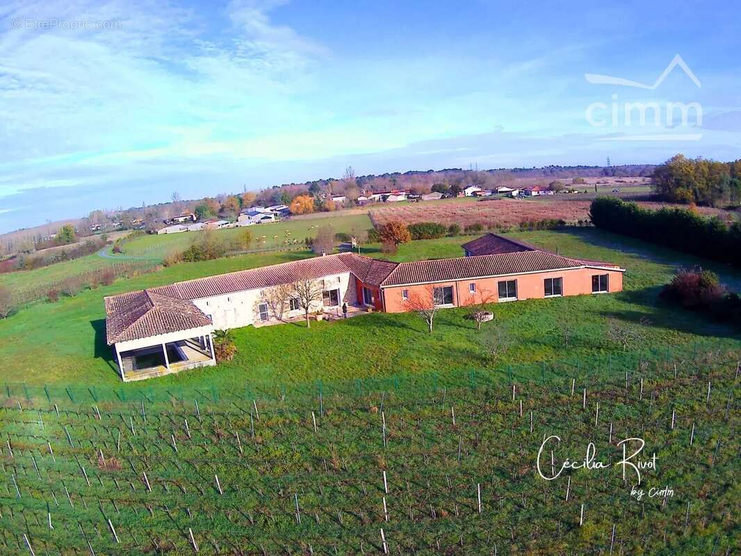 Maison à SAINT-CHRISTOLY-DE-BLAYE