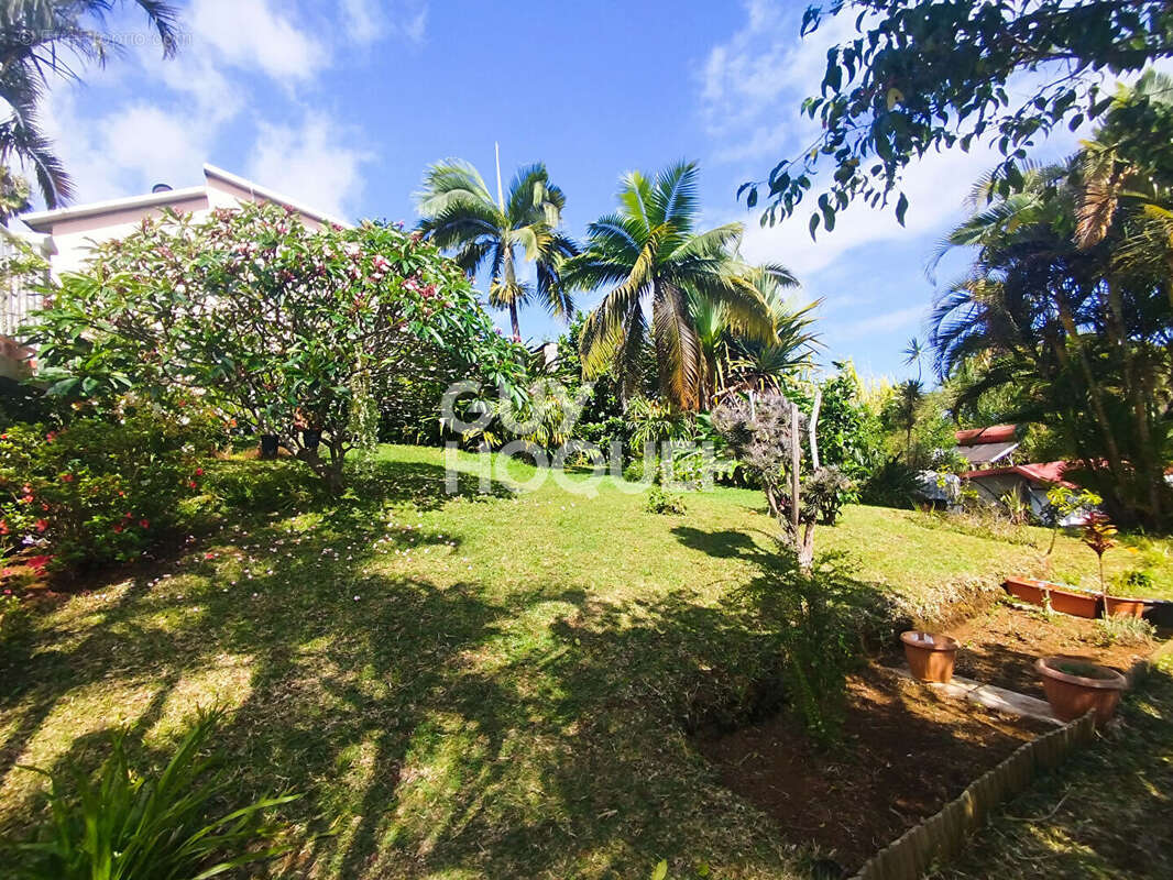 Maison à PETITE-ILE