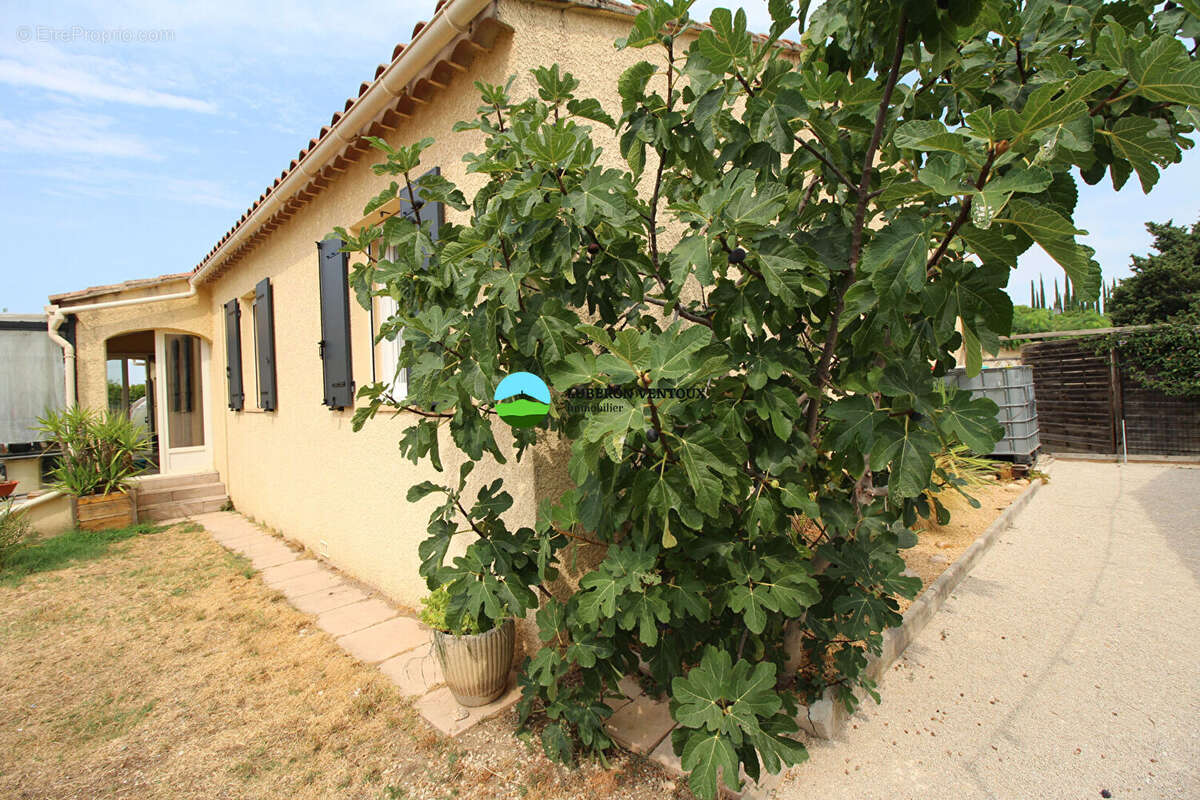 Maison plain-pied , 4 chambres, jardin - photo 12
