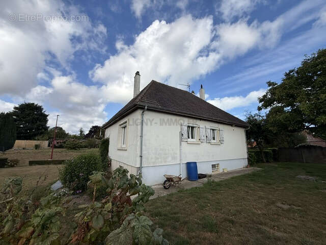 Nouveaute petit-caux - photo 12
