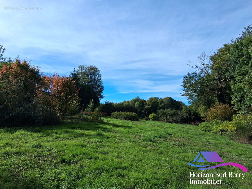 terrain - Maison à VIGOULANT