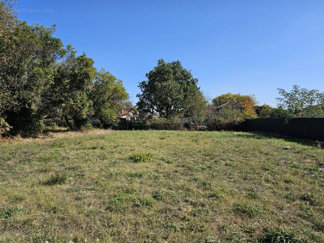 Terrain à SAINT-SAVIN