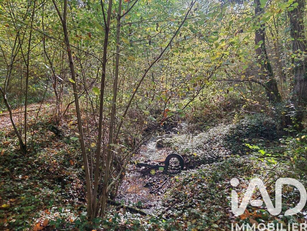 Photo 8 - Terrain à NERIS-LES-BAINS