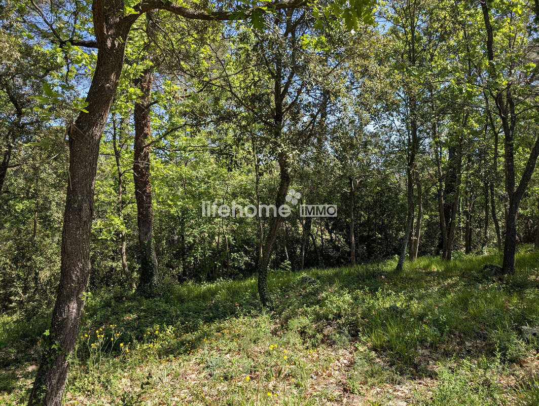 Terrain à LE LUC