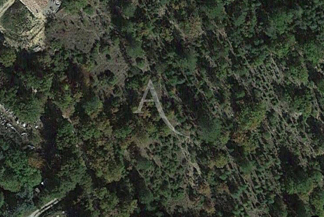 Terrain à ROUMOULES