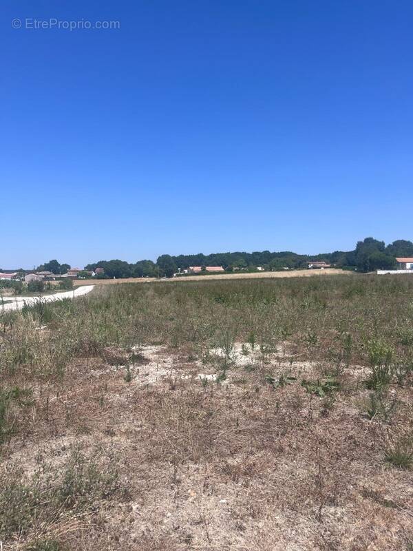 Terrain à SAUJON
