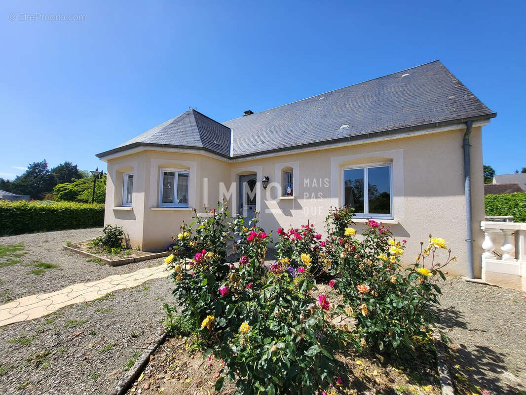 Maison à RUILLE-SUR-LOIR