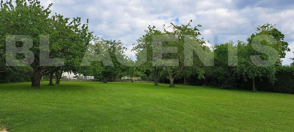 20250506_174947 - Maison à LIGNIERES-LA-CARELLE