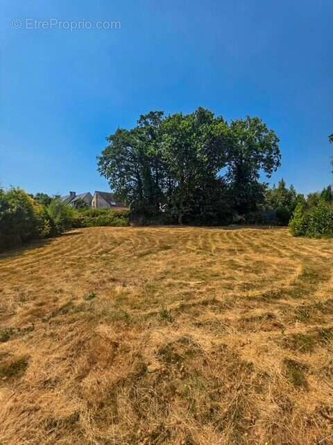 Terrain 702 m² à Vannes  - photo 2