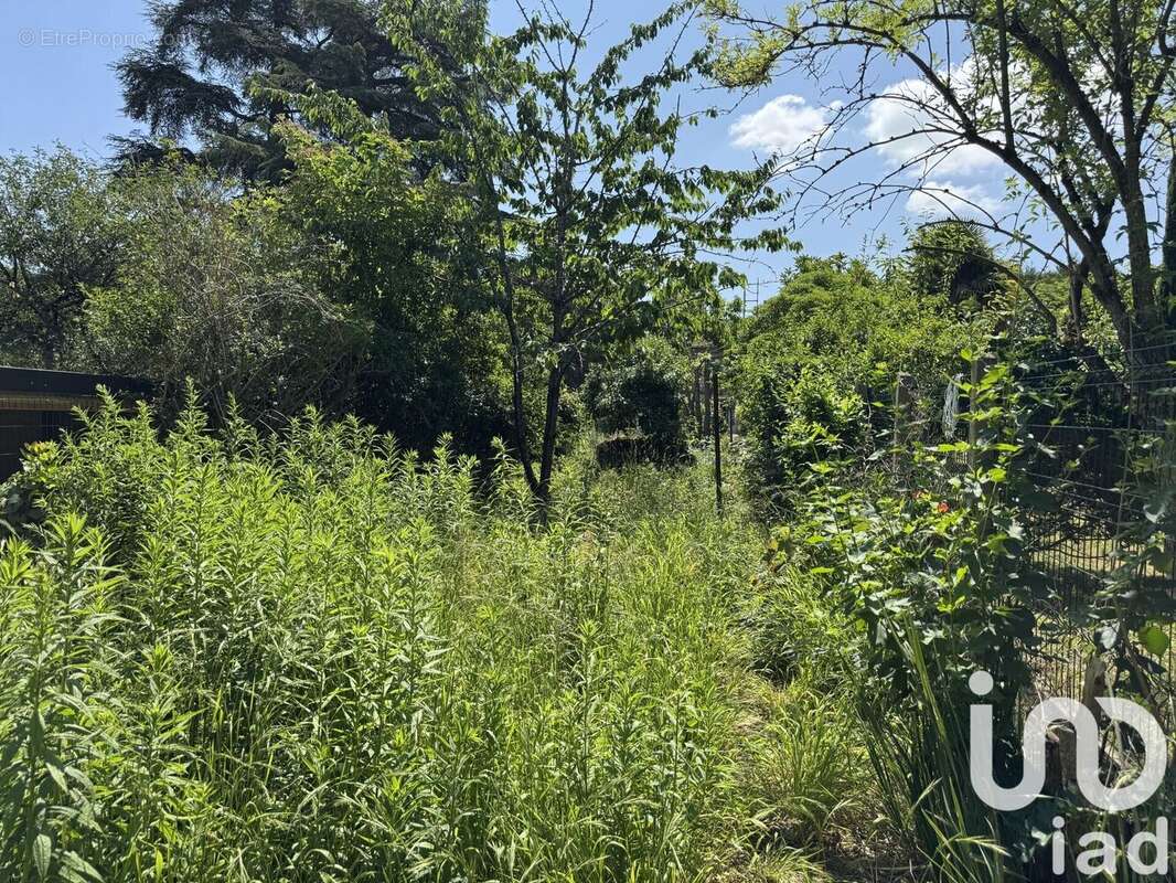 Photo 8 - Maison à BOISSY-SAINT-LEGER