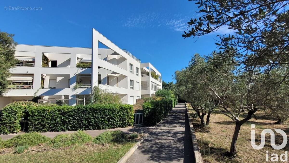 Photo 1 - Appartement à MONTPELLIER