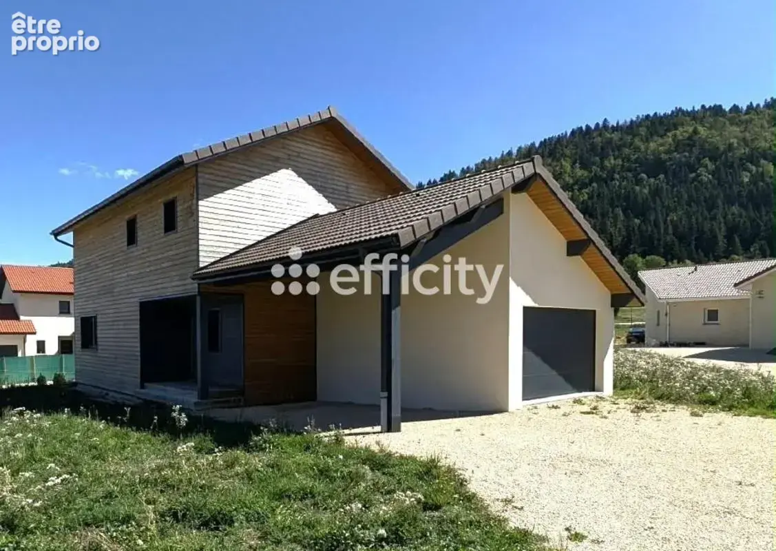Maison à LALLEYRIAT