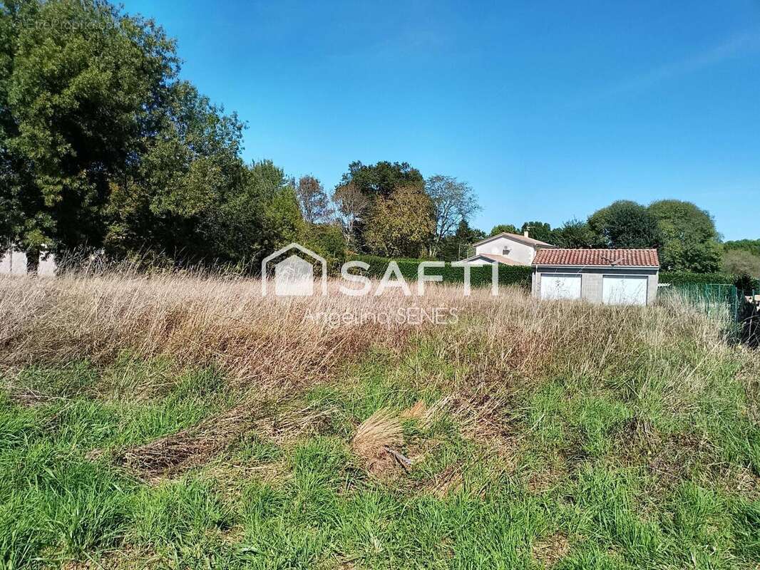 Photo 3 - Terrain à SAINT-CAPRAIS-DE-BLAYE