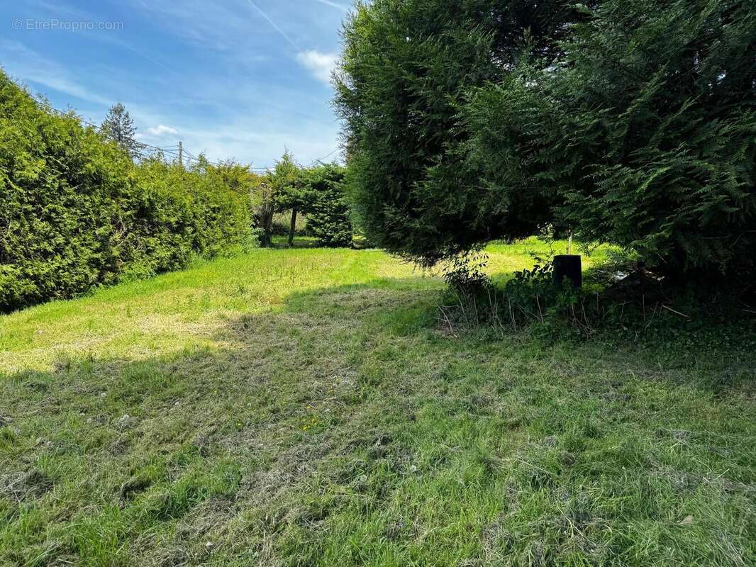 Photo 3 - Terrain à MONTREUIL-AUX-LIONS