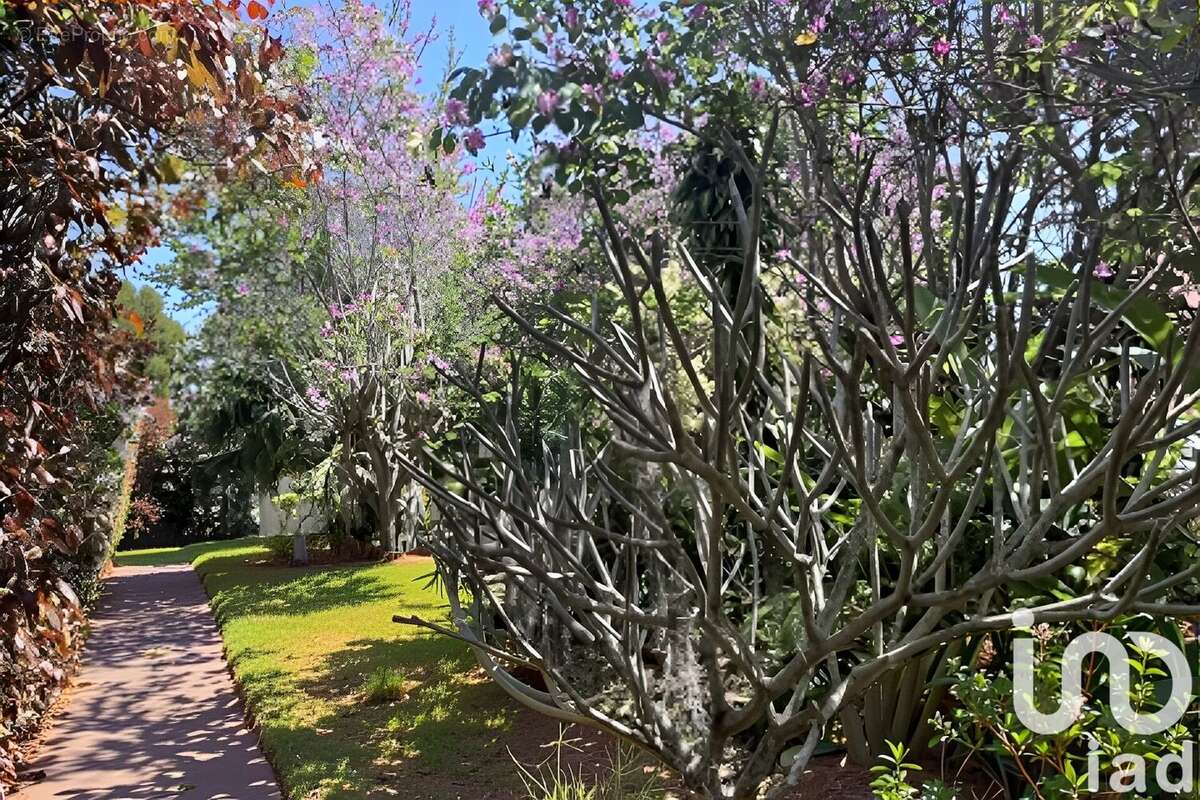 Photo 7 - Appartement à LE TAMPON