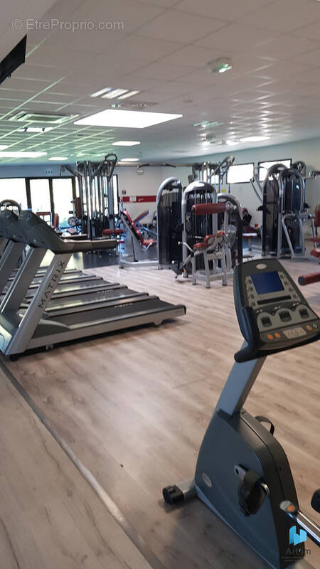 Commerce à SABLE-SUR-SARTHE