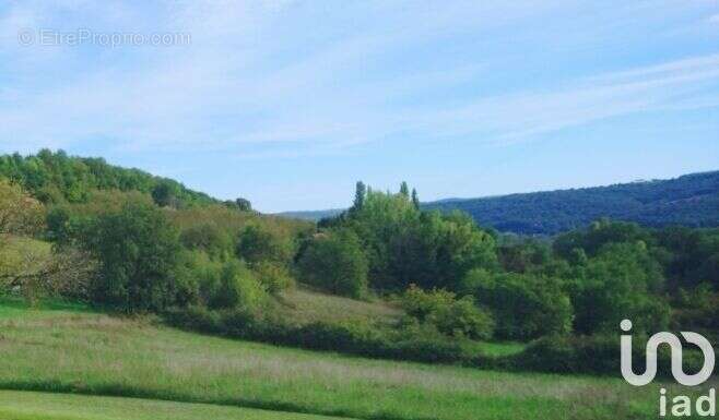 Photo 3 - Terrain à BEAUREGARD-DE-TERRASSON
