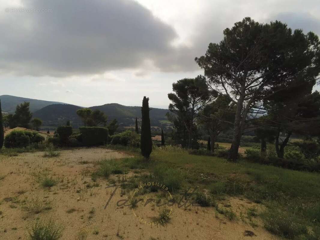 Terrain - 10455 - photo 3