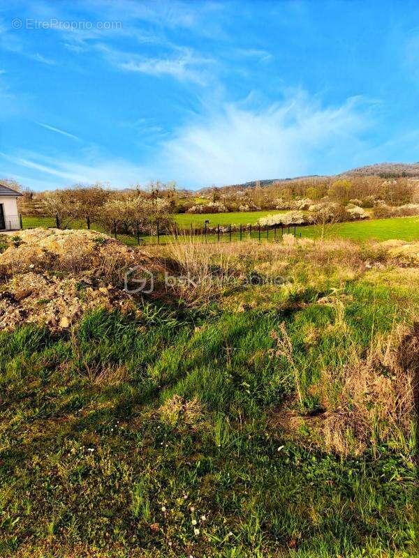 terrain a vendre de 1169 M2 - photo 3
